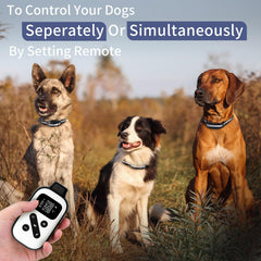 PetJoy bark collar remote control demonstrates multiple dog training