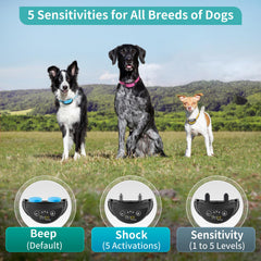 PetJoy Bark Collar demonstrates five sensitivity levels for different dog sizes and breeds.