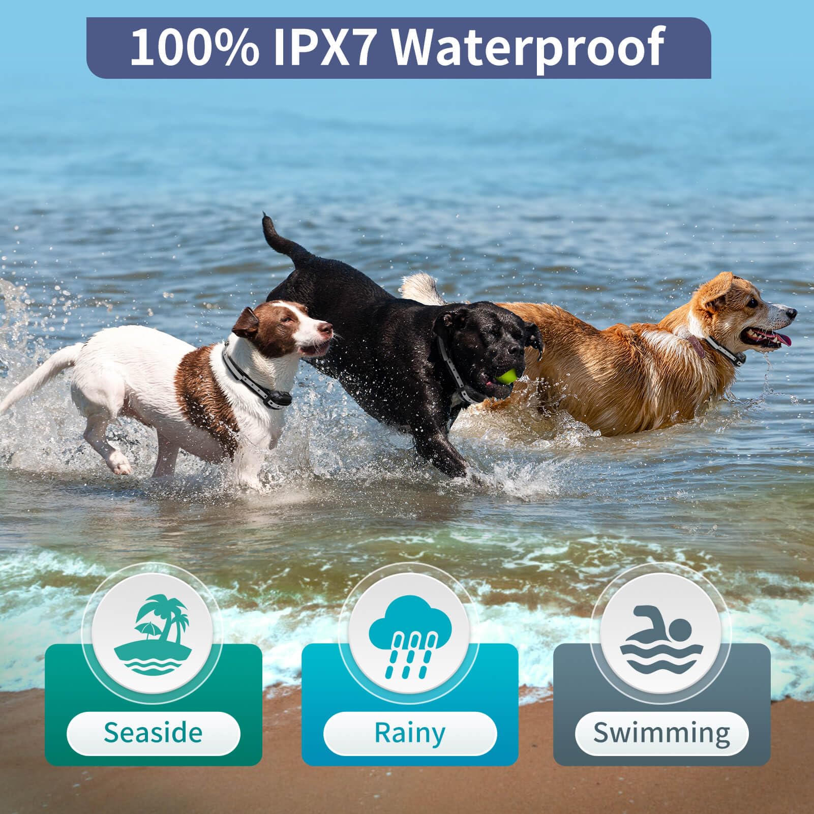 PetJoy remote pairing buttons shown for quick setup