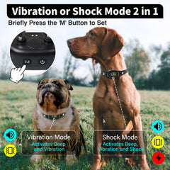 PetJoy Smart Bark Collar close-up on sensitivity dial for tailored training levels.