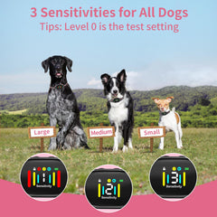 PetJoy barking-detection feature of the collar ensures accurate barking recognition