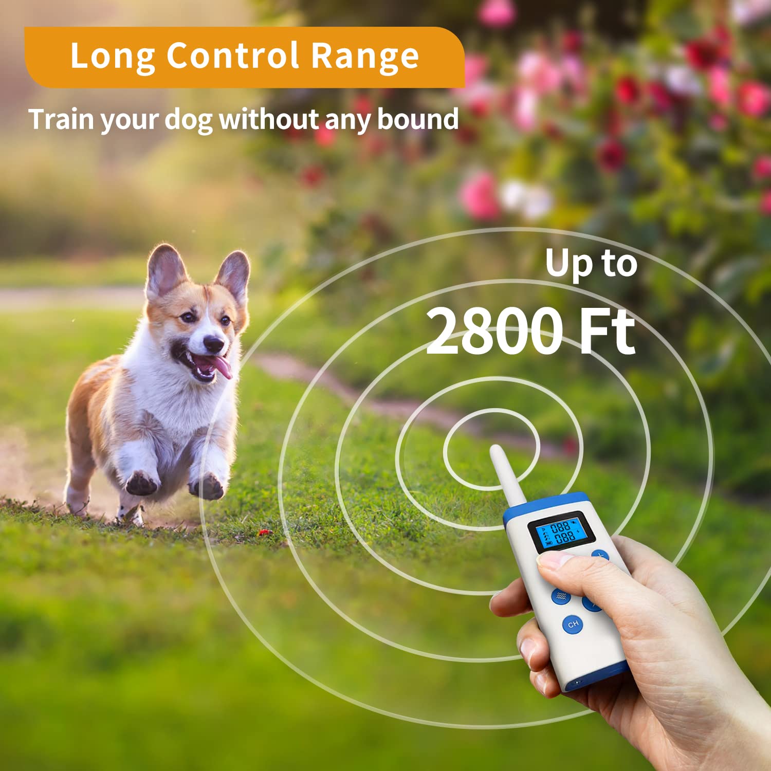 PetJoy three-dog pairing setup enables simultaneous or separate training.