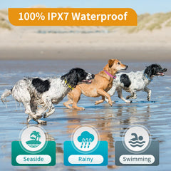 PetJoy training modes display illustrates versatile bark control and behavior shaping.