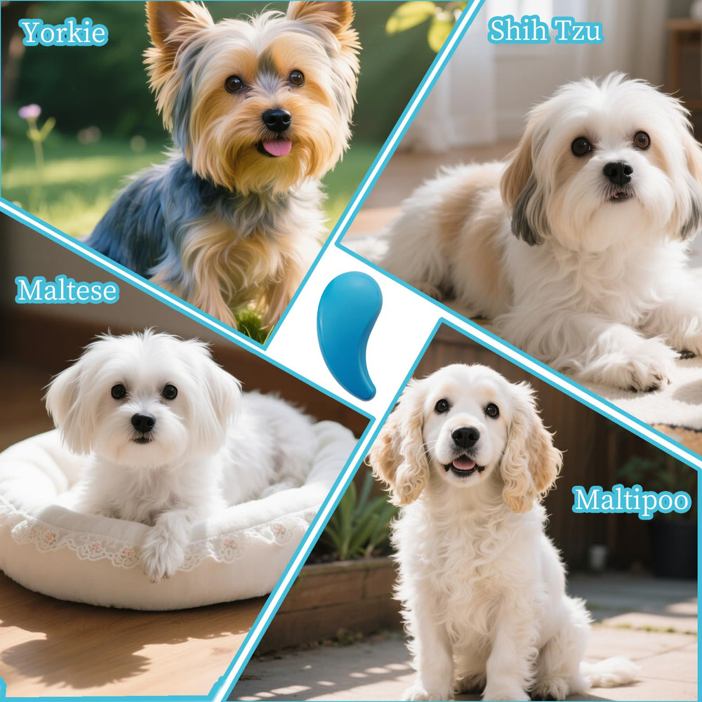 PetJoyHaven comma-shaped small-dog-brush blue on-pet—efficient hair removal for cleaner home.