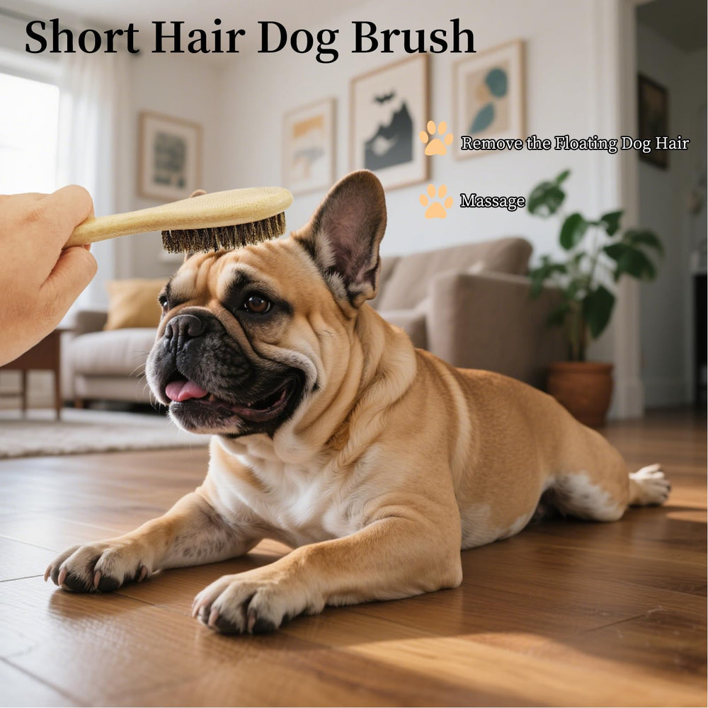 PetJoyHaven small dog grooming tool ideal for compact grooming kits.