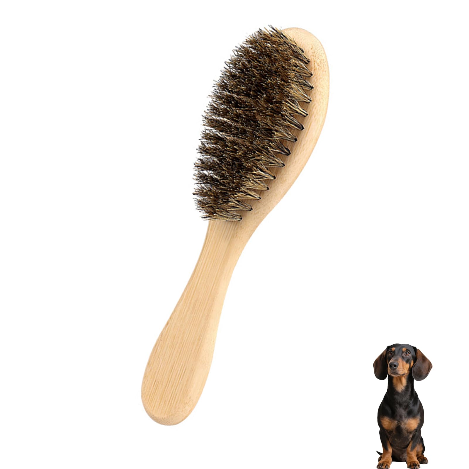 PetJoyHaven soft boar bristle dog brush held for gentle grooming on short coats.