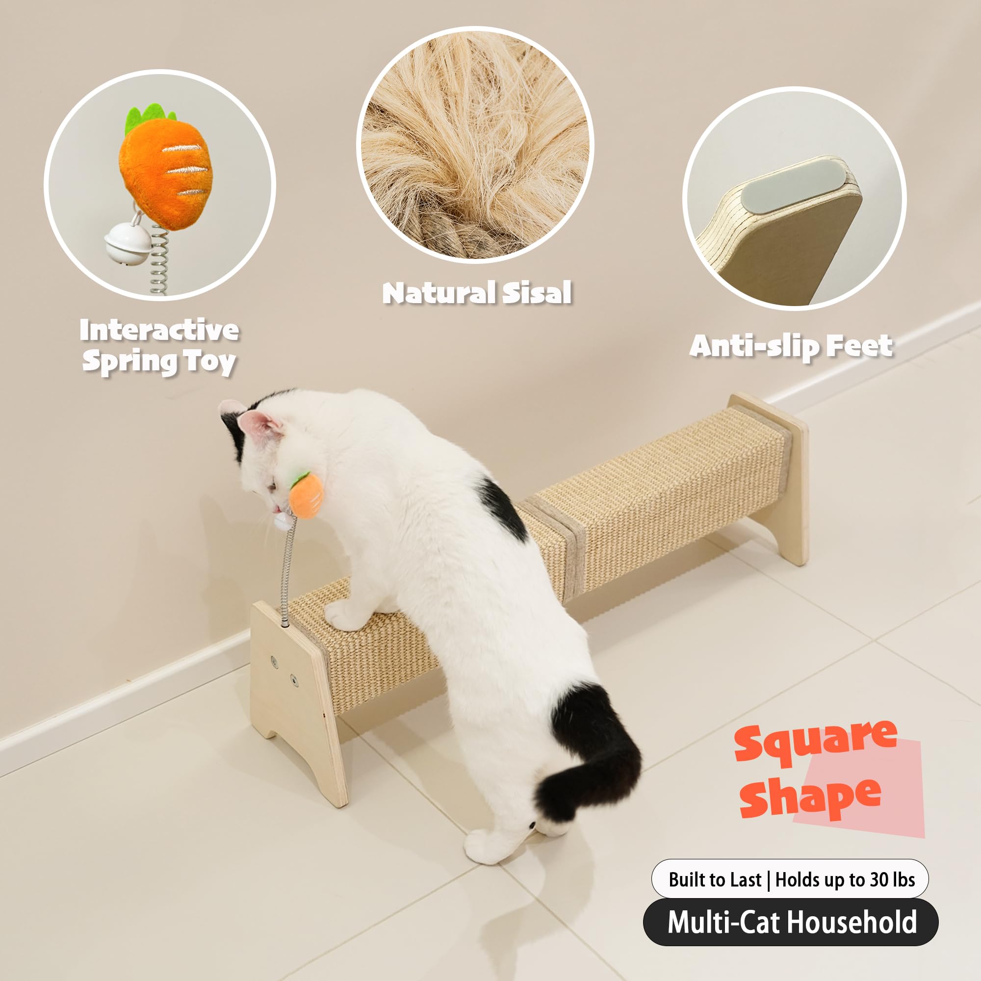 PETKARAY carrot spring toy—engaging play with bell to release energy