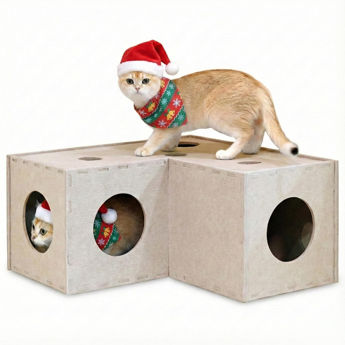 PETKARAY cat tunnel front view shows sturdy felt construction for indoor play.