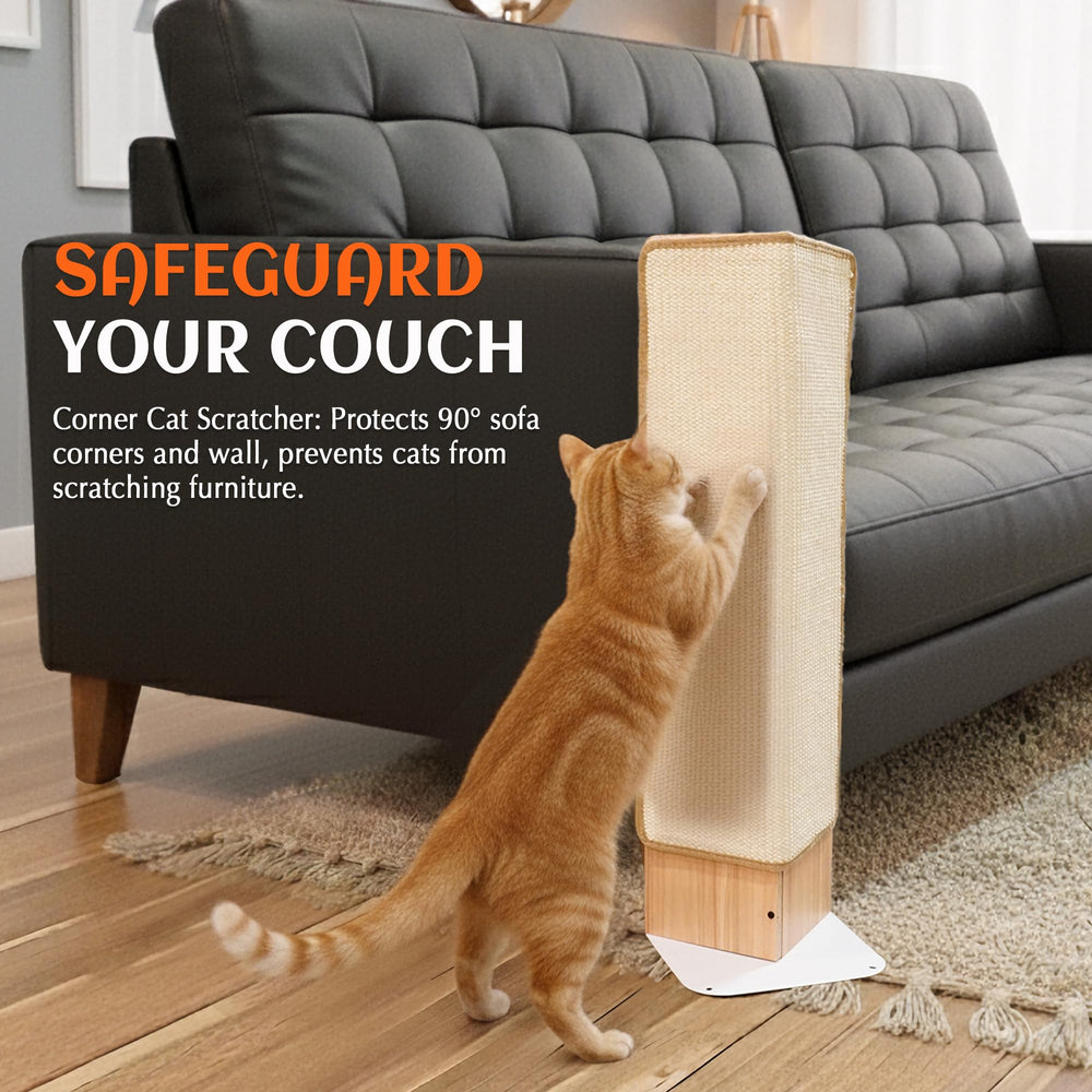 PETKARAY catnip-included option invites curious cats to play