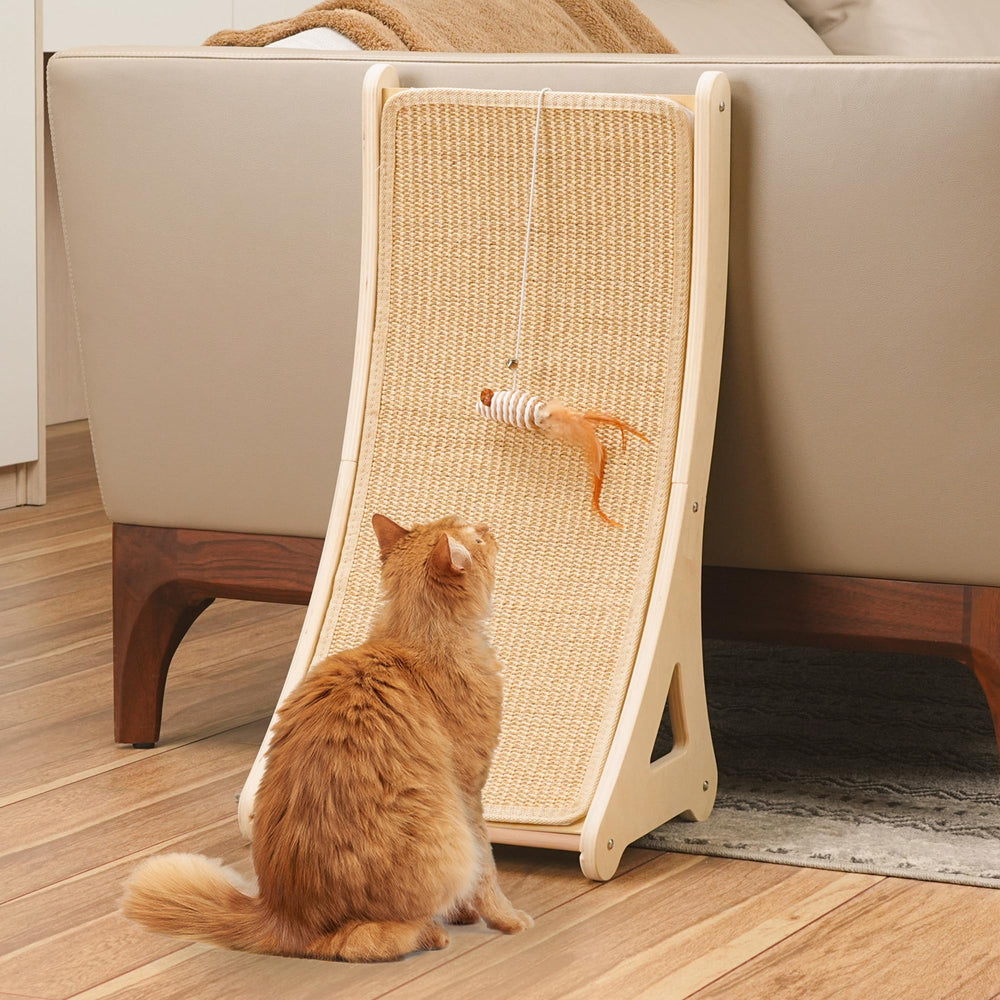 PETKARAY curved scratcher assembly demonstrates quick setup with a sturdy wood base.
