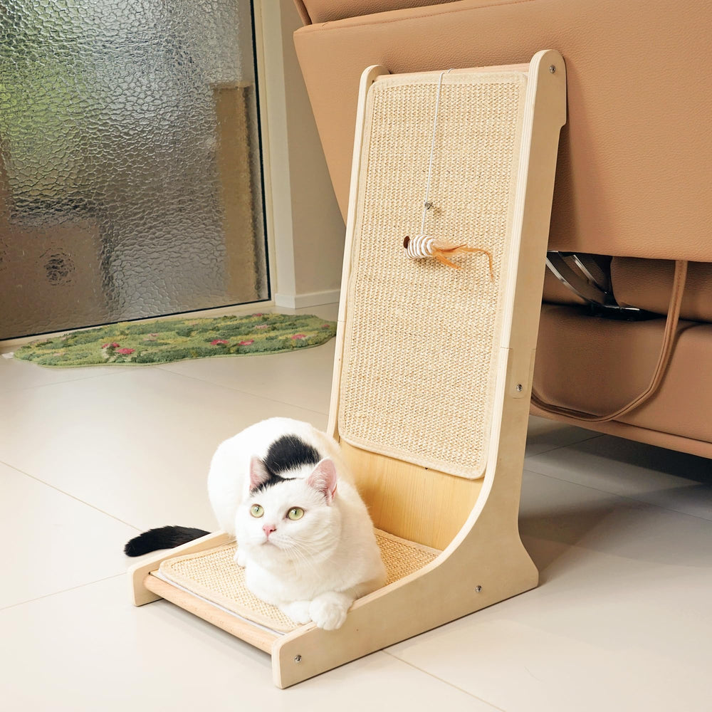 PETKARAY easy assembly with wooden base—set up in minutes.