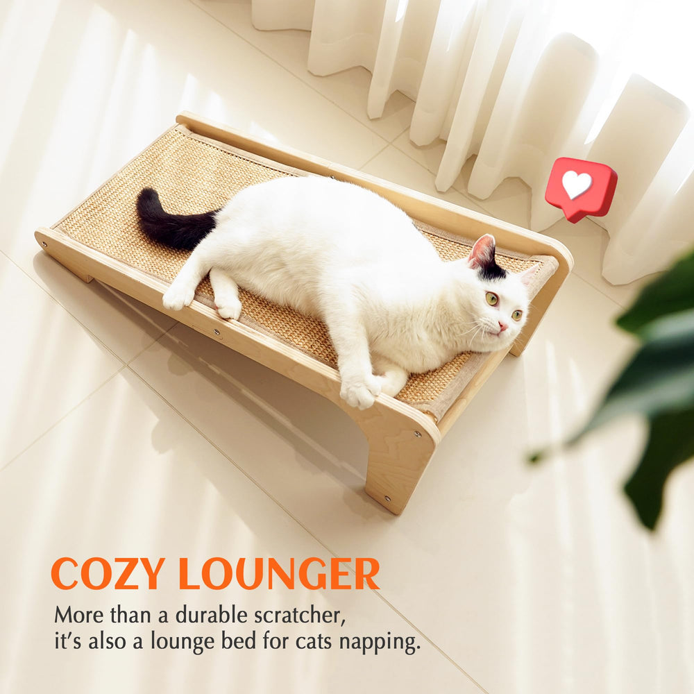 Petkaray easy-assembly design lets you set up in minutes.