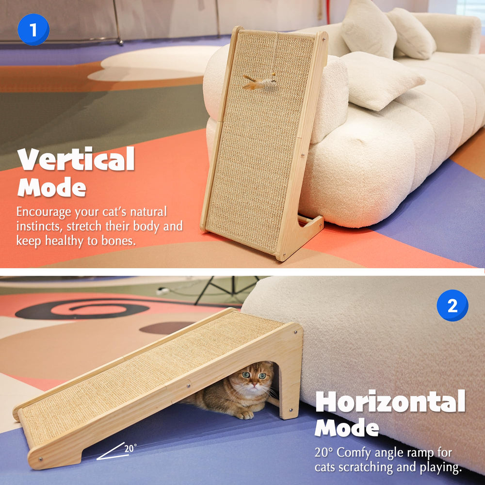PETKARAY floor-ramp-use showcases versatile placement for active shredding.