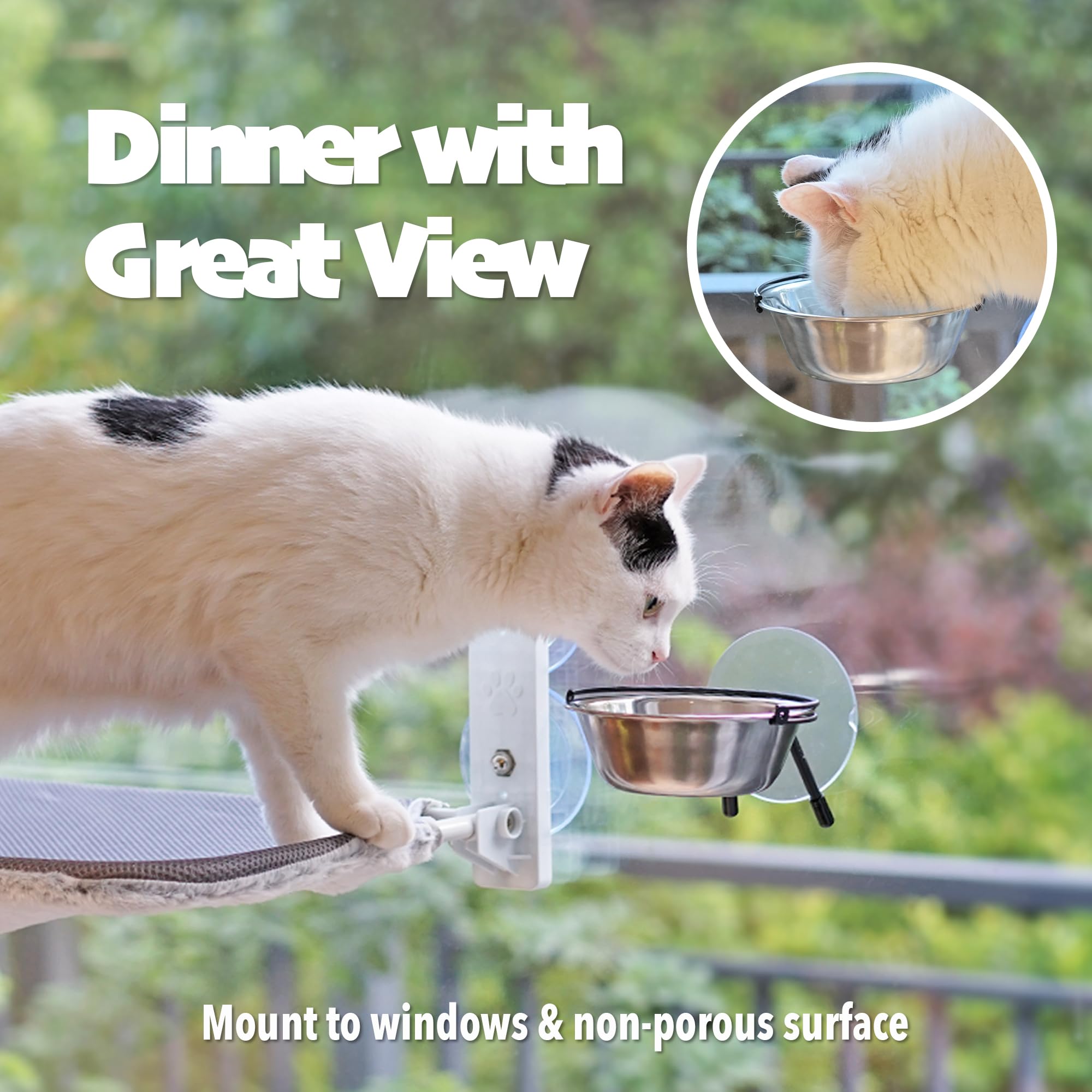 PETKARAY window perch saves floor space while offering a view
