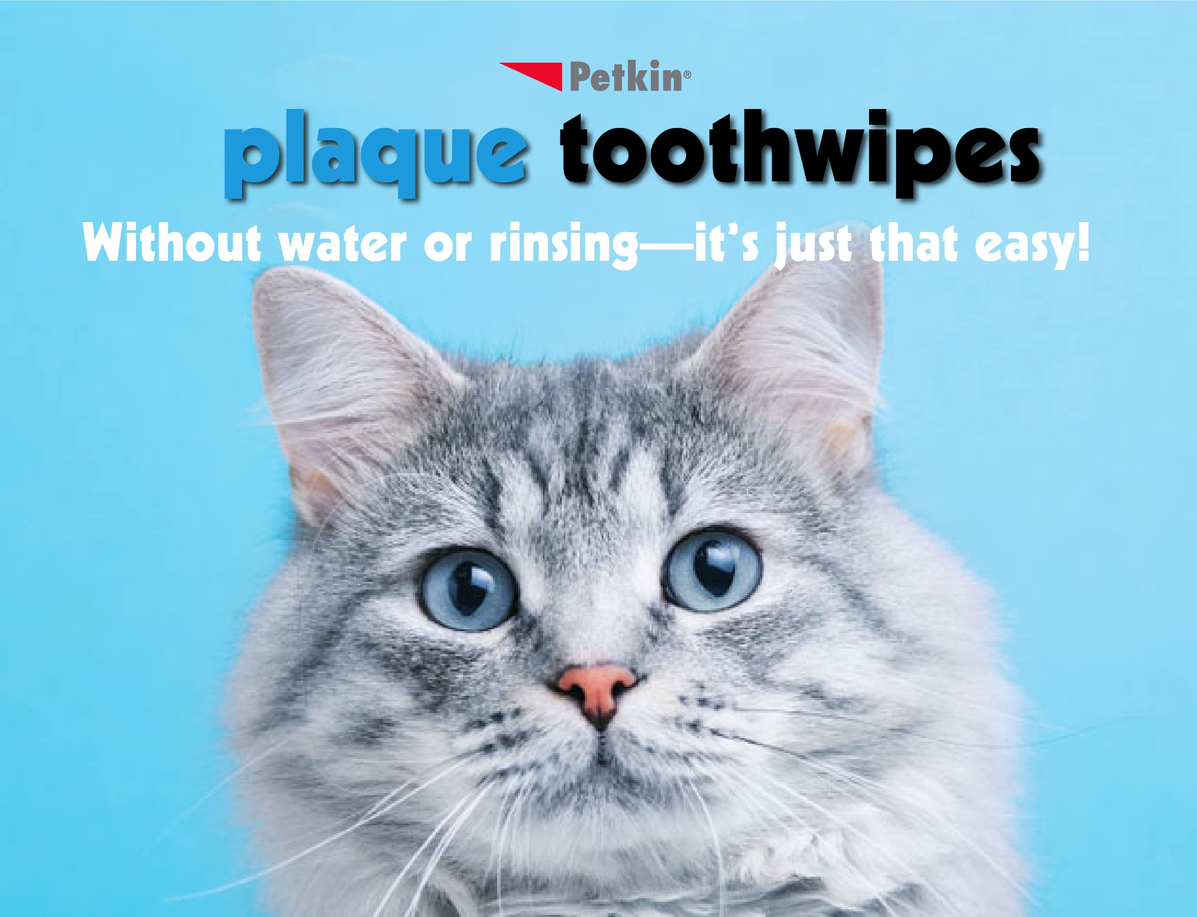 Petkin cat and dog fresh breath visual highlighting minty breath