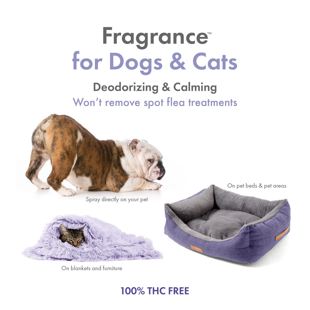 Petkin Hemp Fragrance spray action – quick mist to deodorize and soothe dogs and cats.
