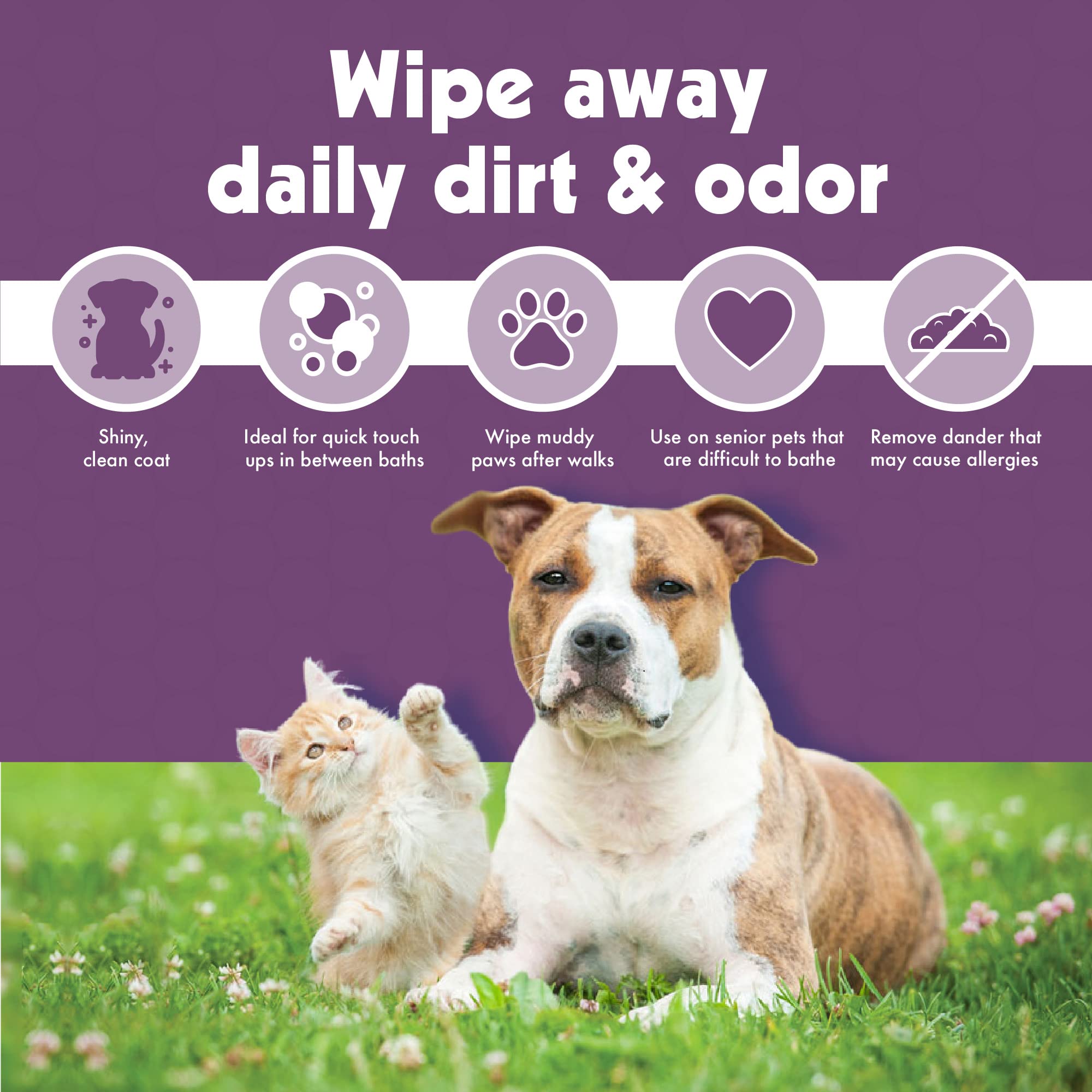 Petkin Jumbo Ear Wipes no rinse feature highlighted for easy home use