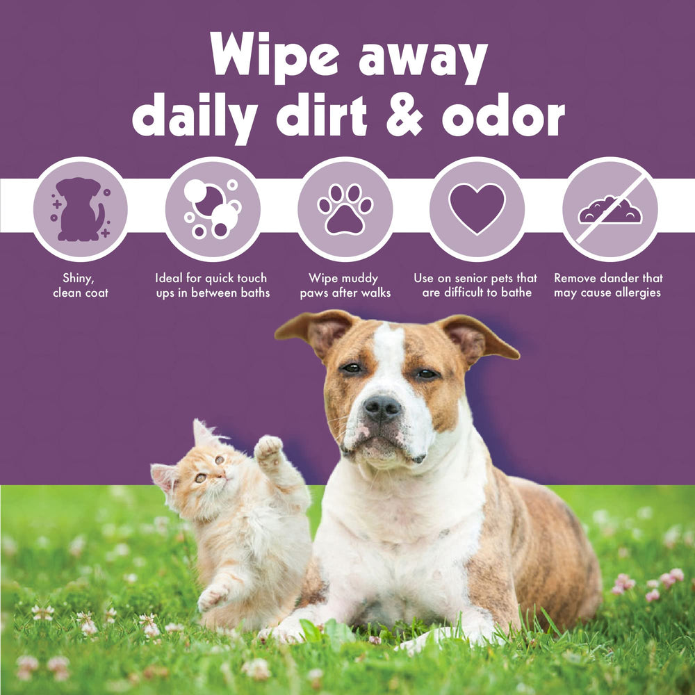 Petkin Jumbo Ear Wipes no rinse feature highlighted for easy home use