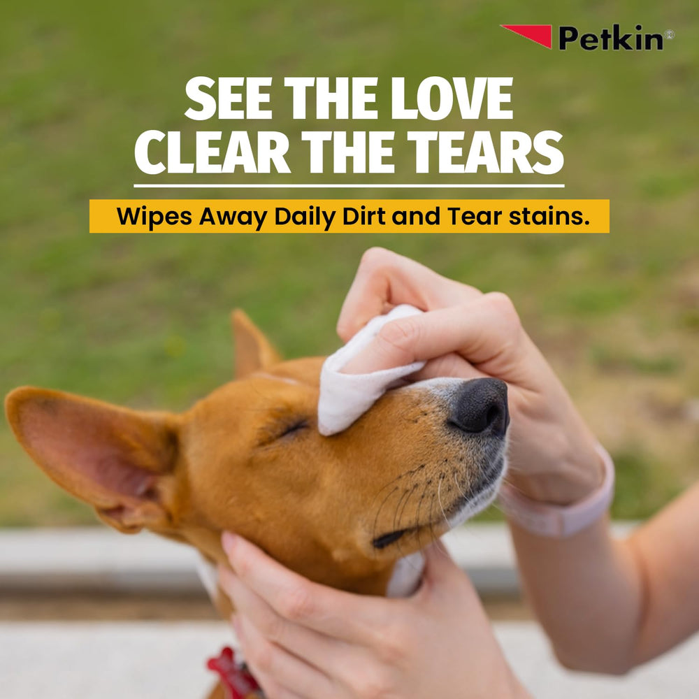 Petkin Jumbo Eye Wipes held in hand for convenient at‑home use.