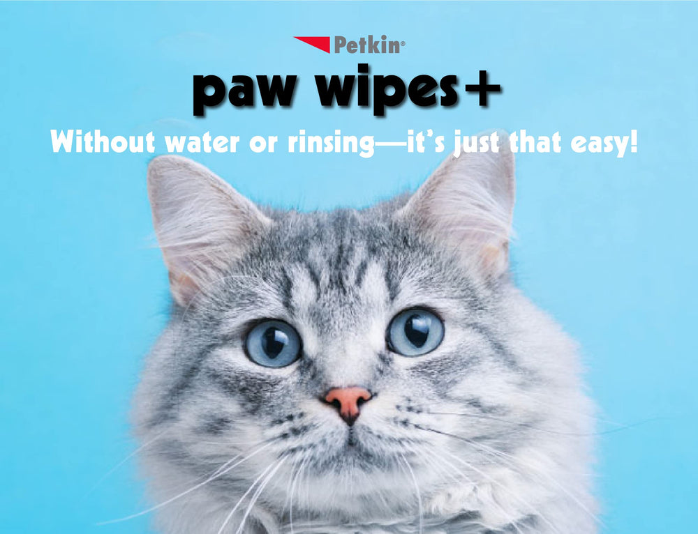 Petkin Paw Wipes demonstrates cleaning a dirty paw after outdoor play