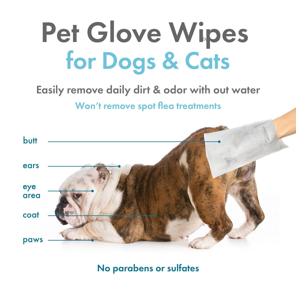 Petkin Pet Glove Wipes for body: convenient daily cleanup.