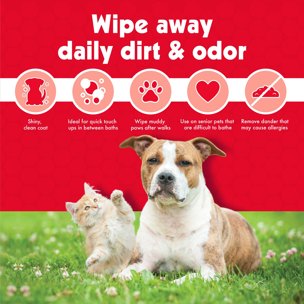 Petkin Pet Wipes two-pack box provides convenient home or travel supply.