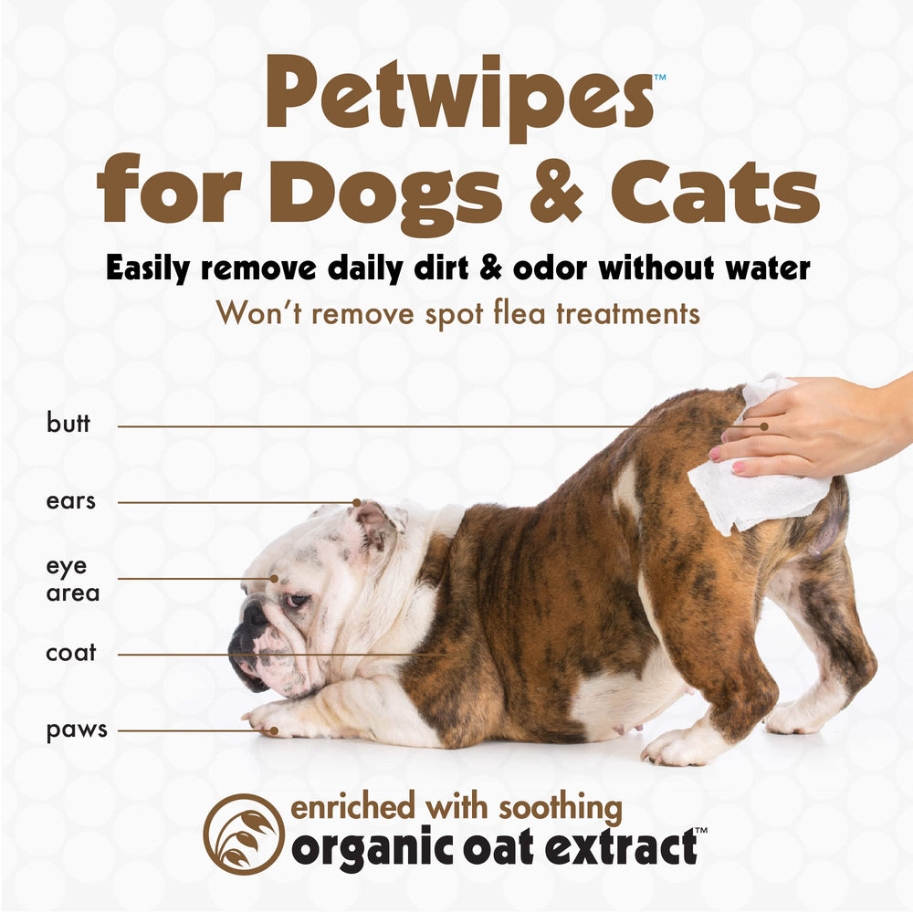 Petkin Pet Wipes vanilla oatmeal scent highlights a mild aroma during grooming
