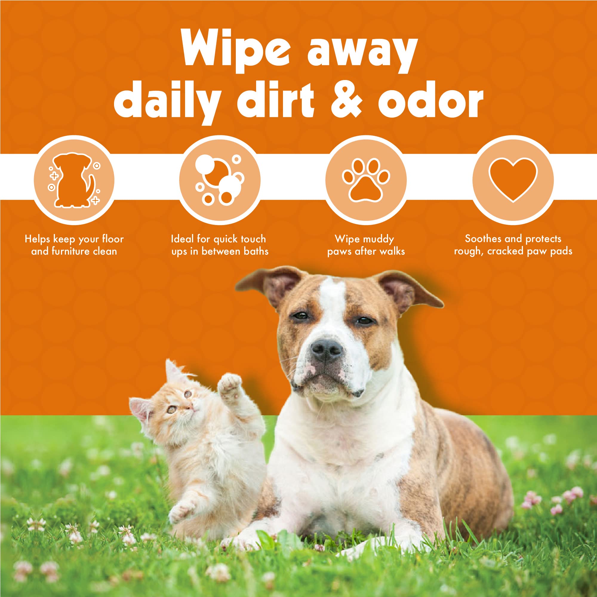 Petkin Travel packs display 2 pack 100 wipes each for convenience.