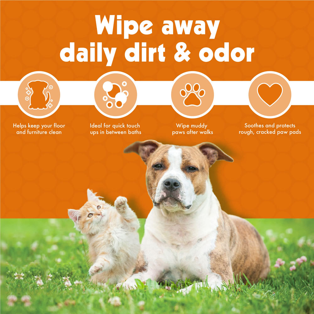 Petkin Travel packs display 2 pack 100 wipes each for convenience.