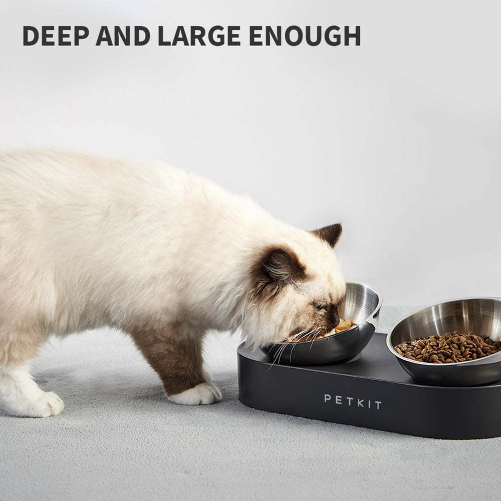 PETKIT Cybertail cat and small dog feeding setup in a calm kitchen corner.