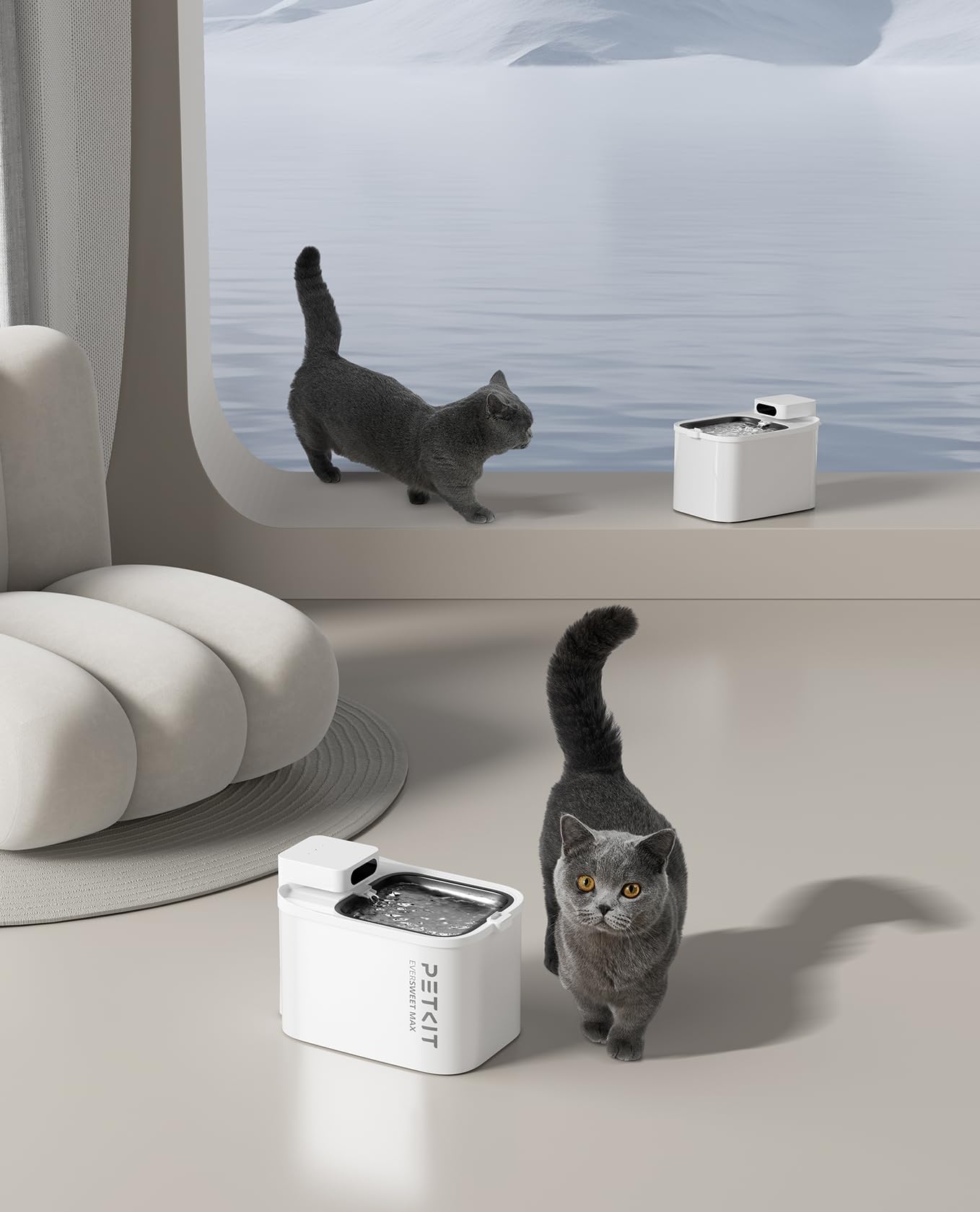 PETKIT EVERSWEET MAX maintenance reminder reinforces weekly care and upkeep