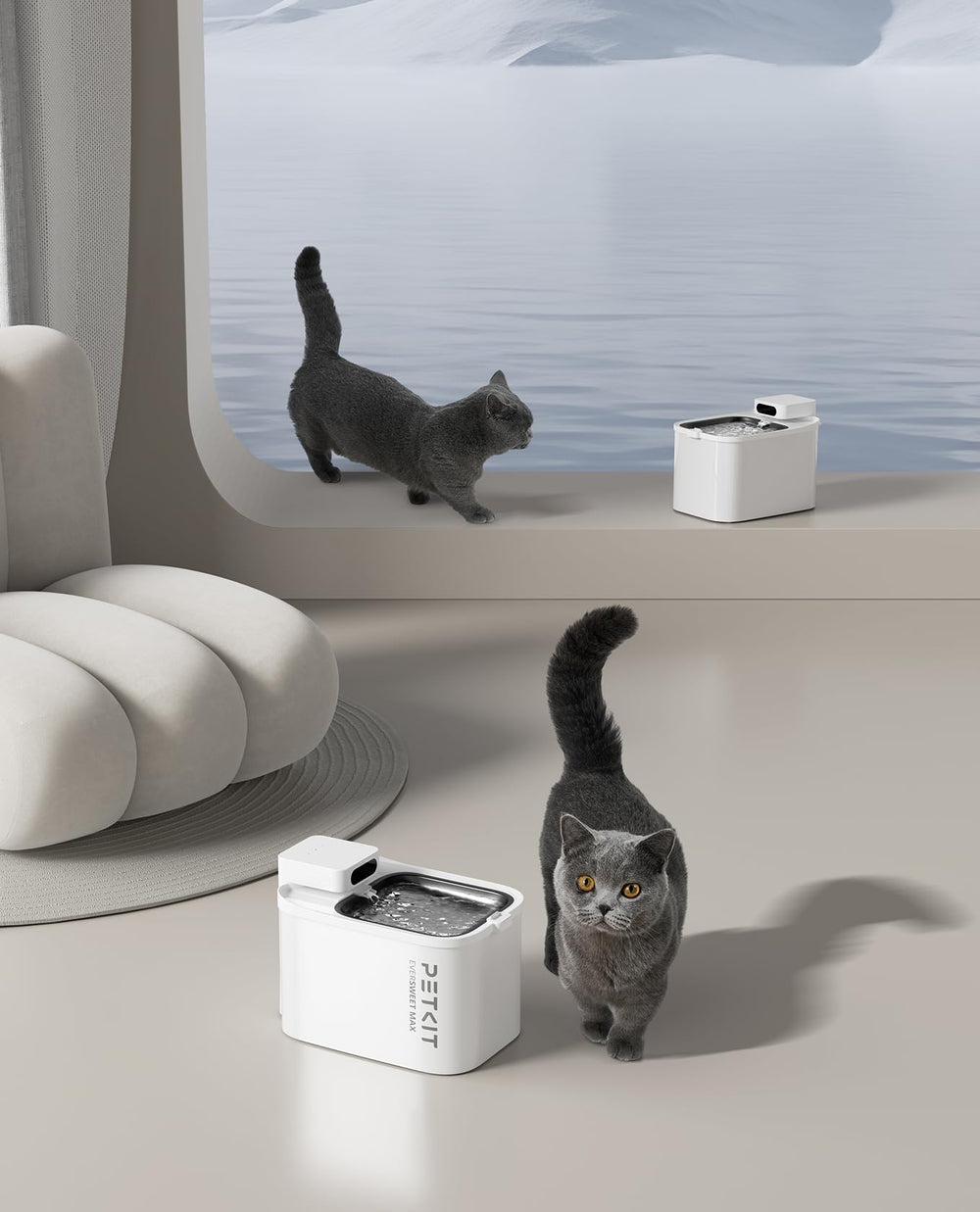 PETKIT EVERSWEET MAX maintenance reminder reinforces weekly care and upkeep