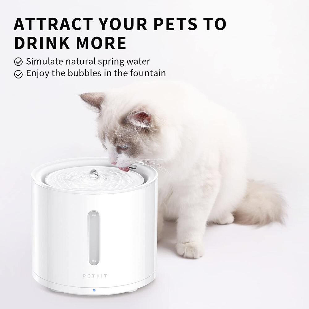 Petkit EVERSWEET Solo 2 2L capacity supports pets' hydration needs