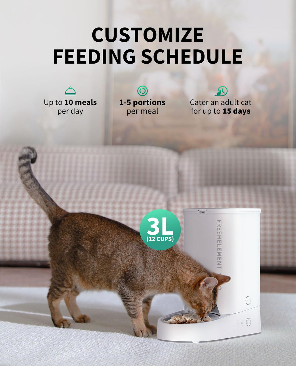 PETKIT feeder 3L capacity visual highlighting ample food storage