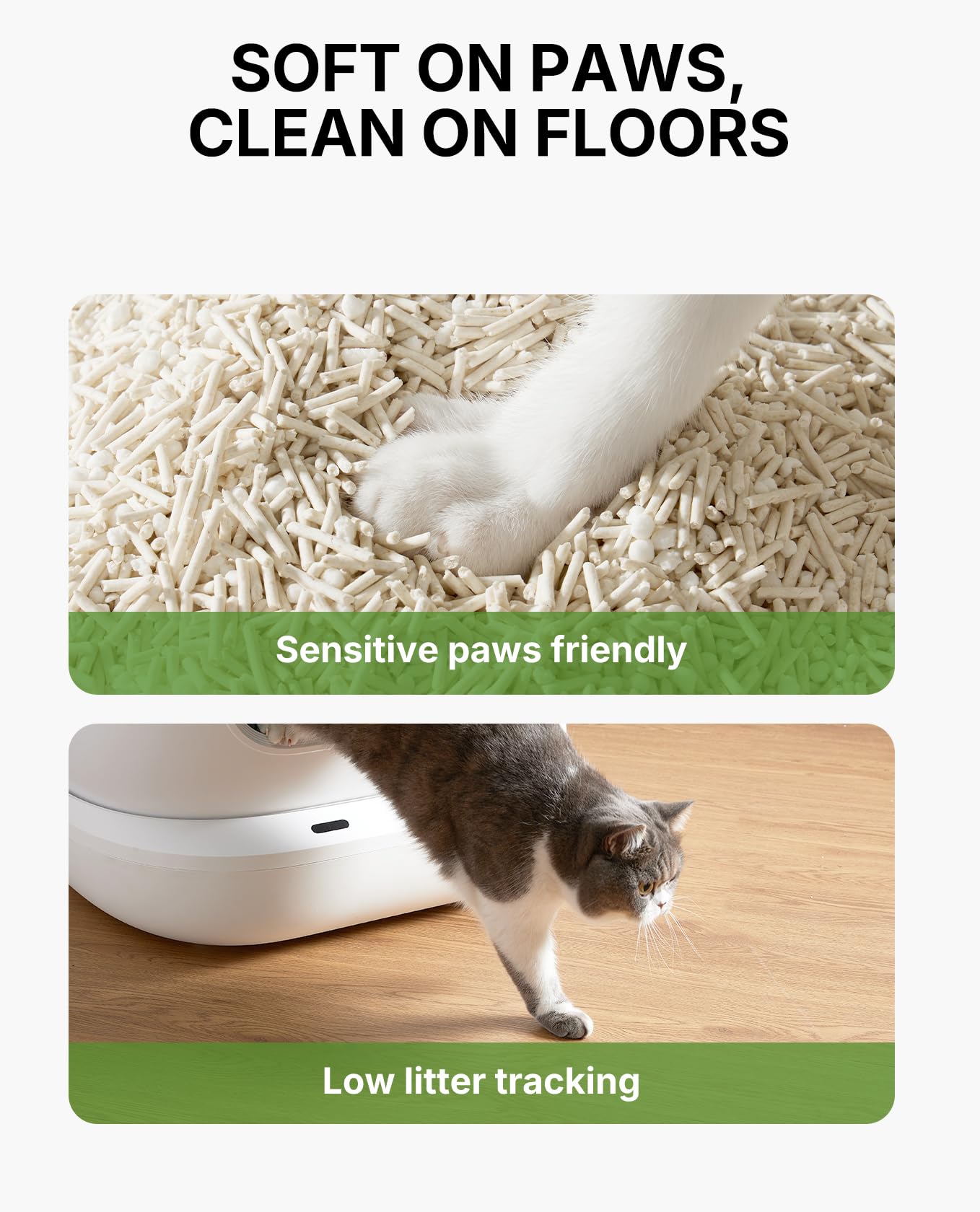 PETKIT litter box scene close-up showing tidy box and surroundings