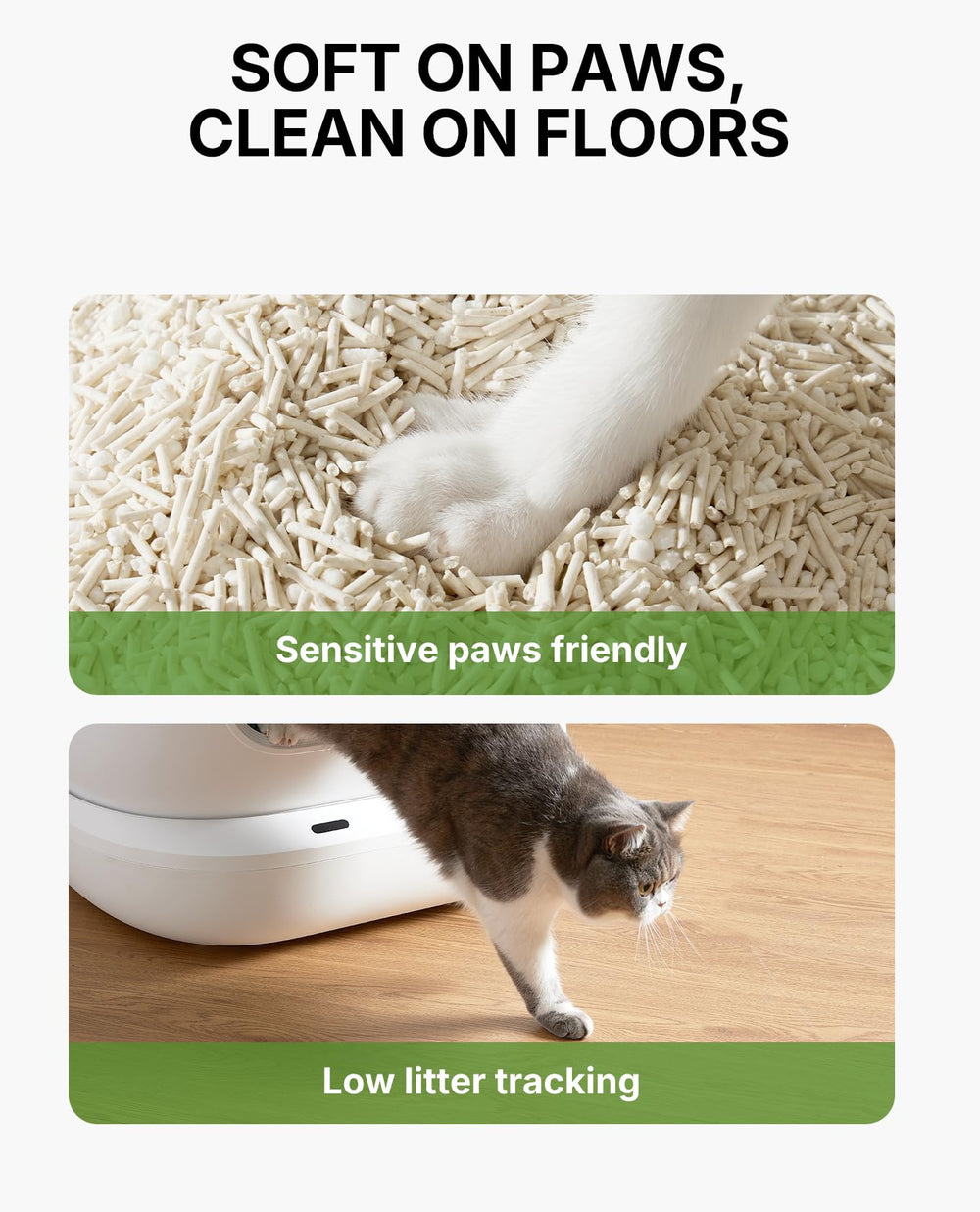 PETKIT litter box scene close-up showing tidy box and surroundings