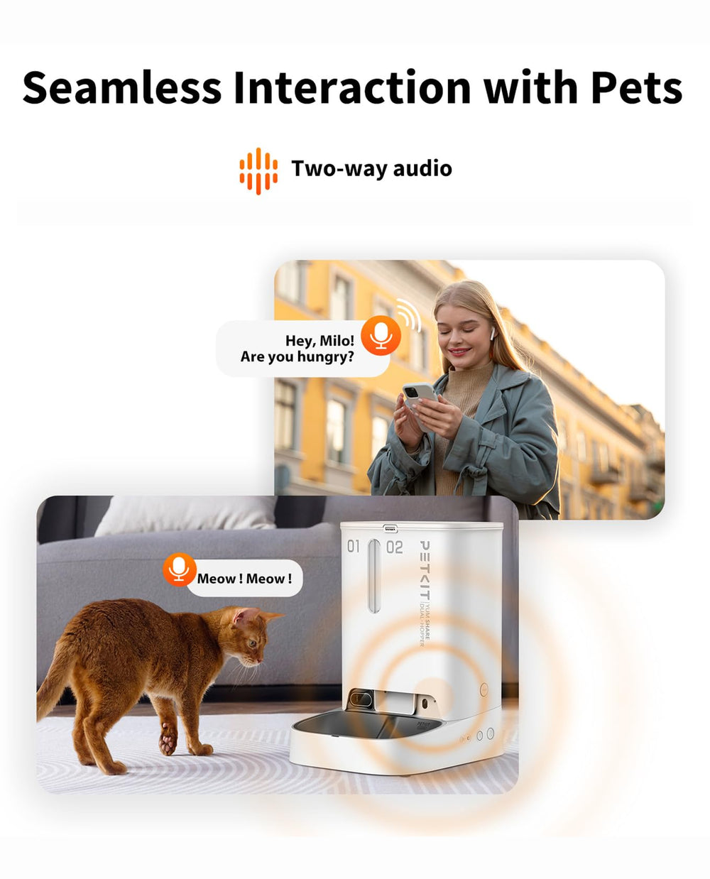 PETKIT Yumshare AI life recording showing moments throughout the day