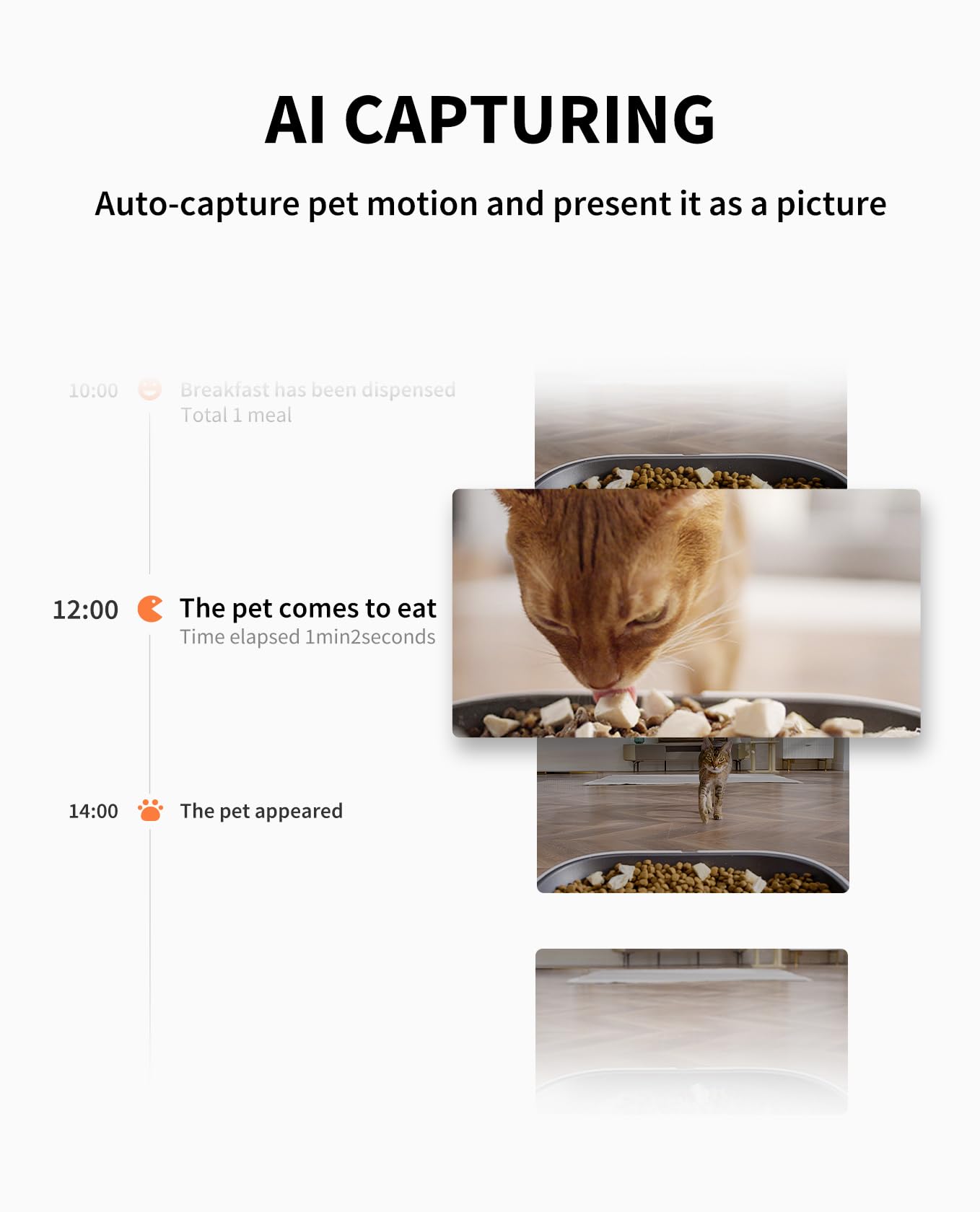 PETKIT Yumshare two-way audio for real-time mealtime calls