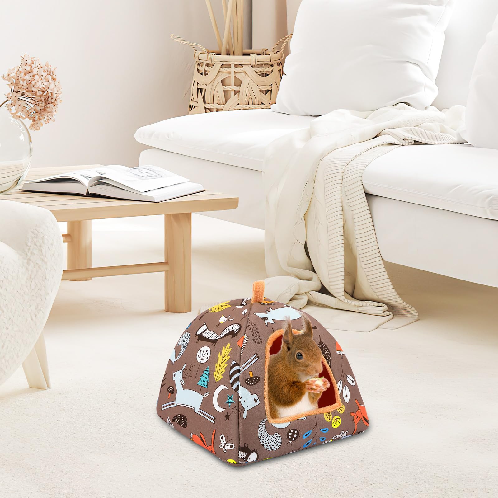 PETKNOWS Guinea Pig Bed 20cm size shows compact fit for small rodents