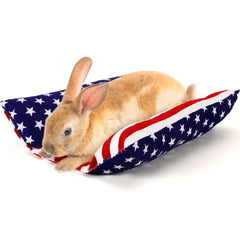 PETKNOWS rabbit bed concave top view with plush pillow for cozy small animals