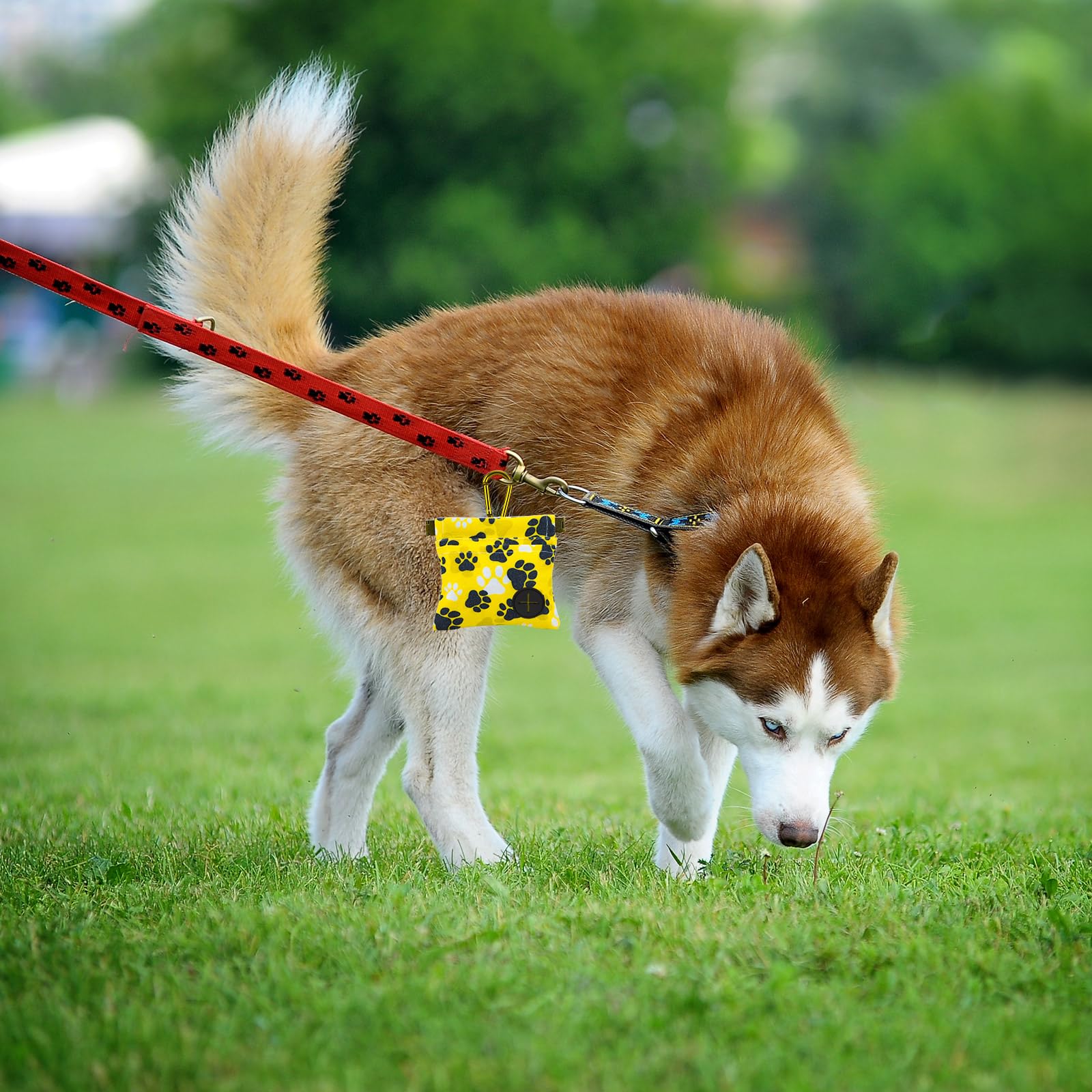 PETKNOWS compact design ideal for hikes and short trips.