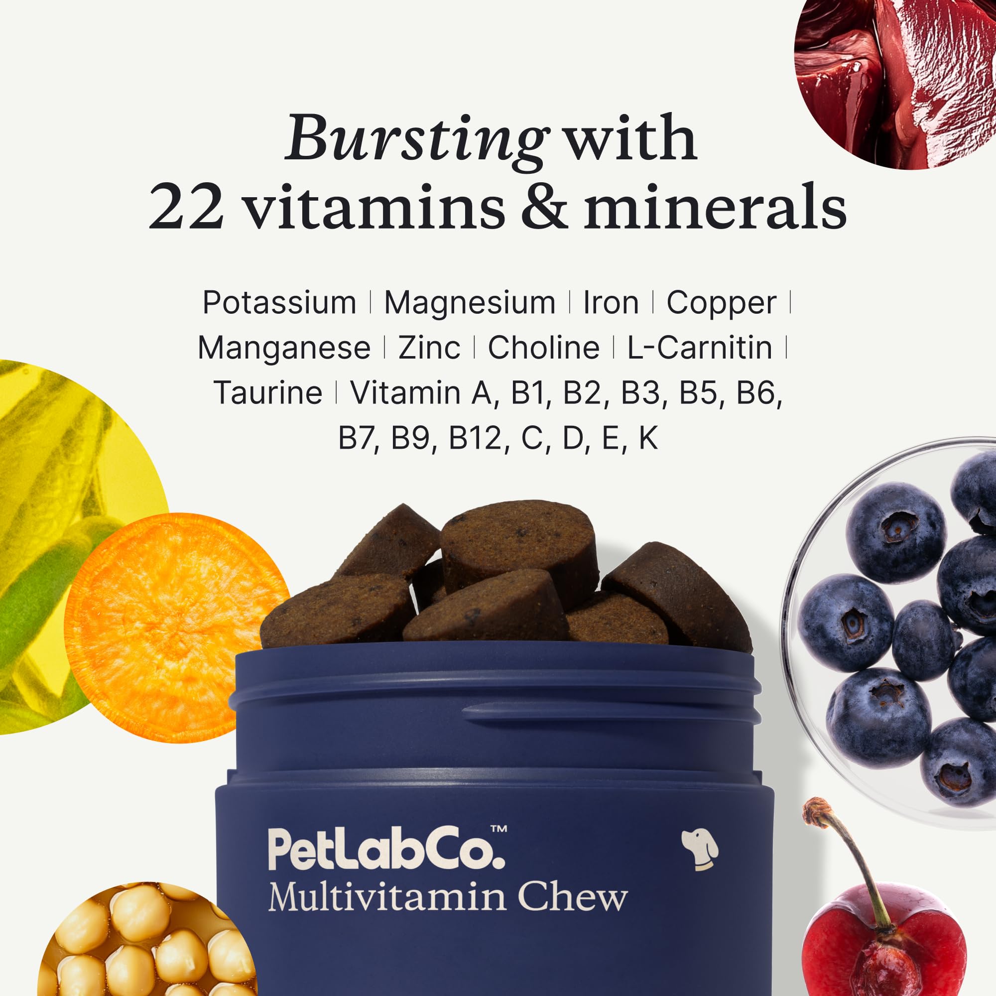 PetLab Co 22-in-1 dog multivitamin pup chewing demonstrates easy routine