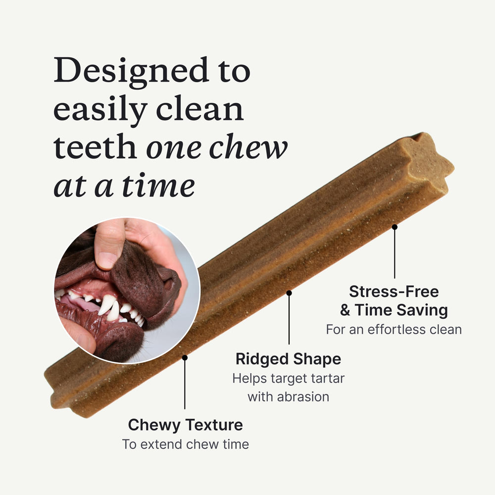 PetLab Co. Dental Sticks for breath freshness in dogs