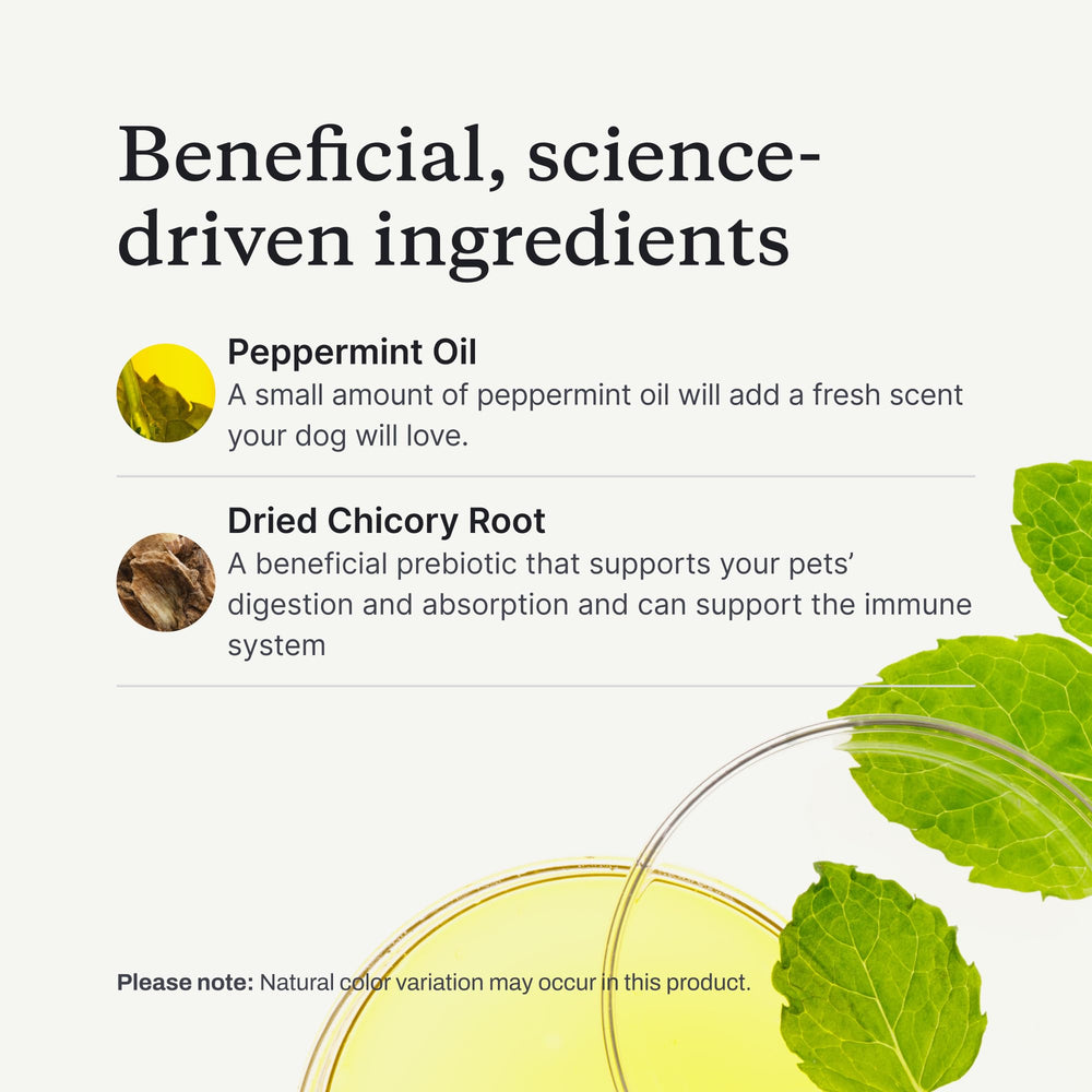 PetLab Co. Dental Sticks chicory root ingredient close-up
