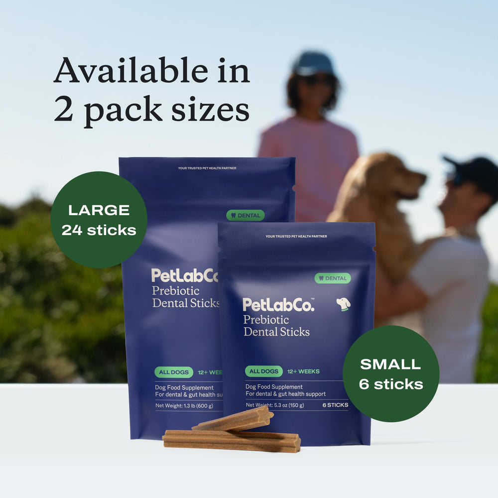 PetLab Co. Dental Sticks prebiotic chicory root aids digestion