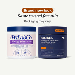 PetLab Co. dog-probiotic chews on counter show convenient daily support.