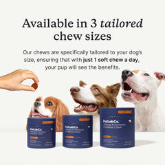 PetLab Co daily probiotics for dogs jar—intermittent itching and digestive health support.