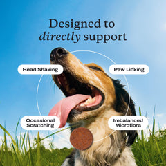 PetLab Co. ingredients feature-borage oil krill oil vitamins E for omega-rich benefits.