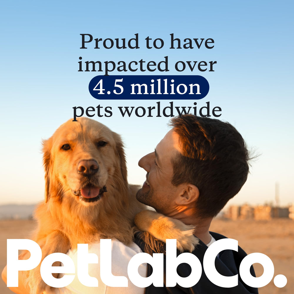 PetLab Co Joint Care Chews activity-friendly use for dogs with wagging tails.