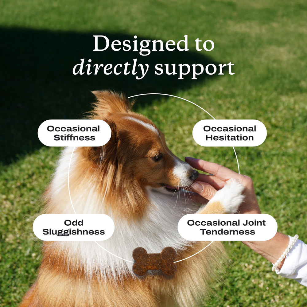 PetLab Co Joint Care Chews omega-3 rich formula supports healthy connective tissue.